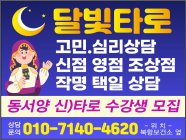 달빛타로